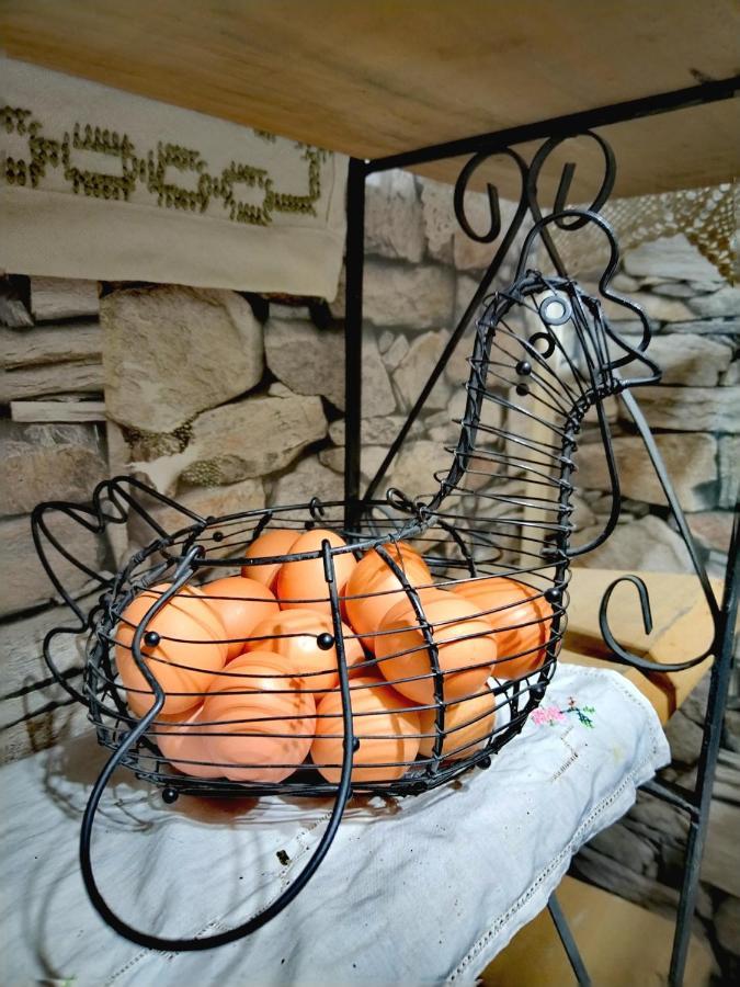 Bed and Breakfast Shalom_Matsofy Santiago del Cile Esterno foto